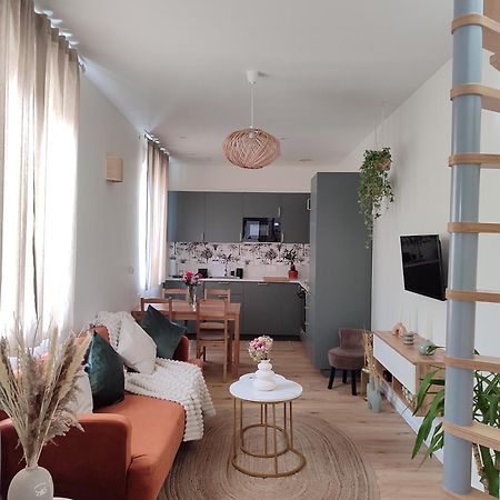 Maison Cosy Terrasse Ensoleille Clermont-Ferrand Ngoại thất bức ảnh